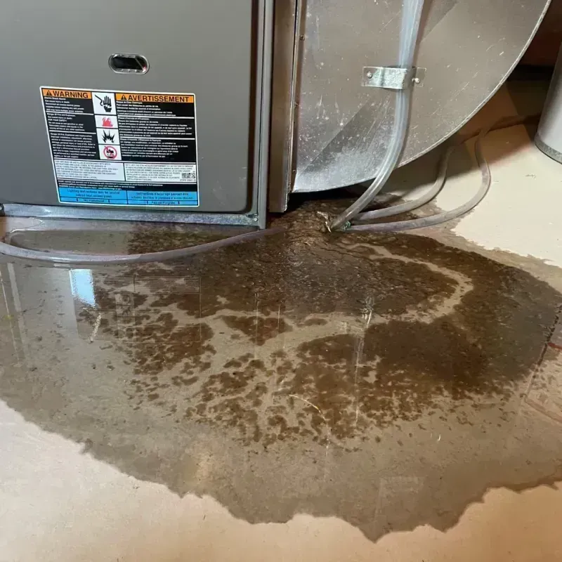 Appliance Leak Cleanup in Delafield, WI